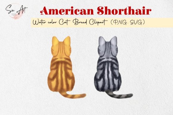American Shorthair Cat Breed Embroidery Review