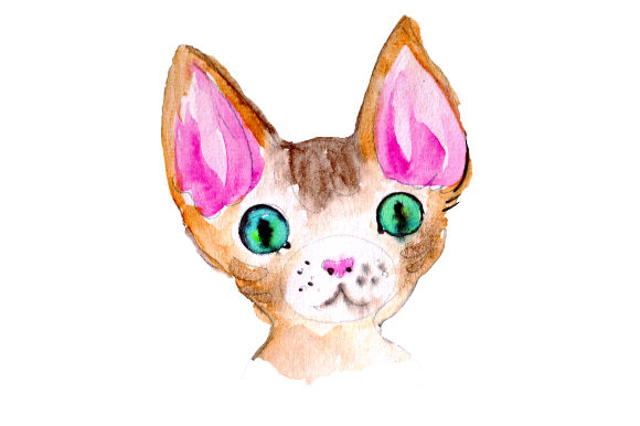 Devon Rex Cat Embroidery Design Review