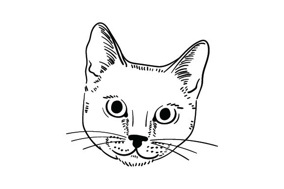 Realistic Cat Portrait Embroidery Review
